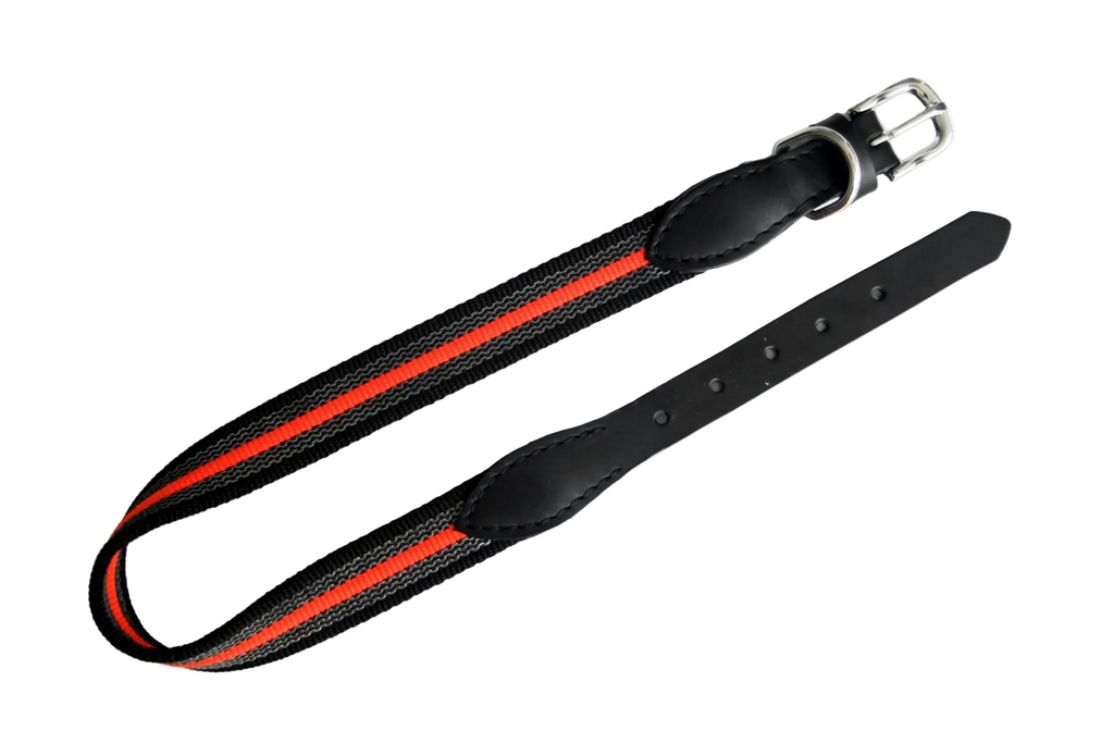 Black dog collar with red stripe on a white background