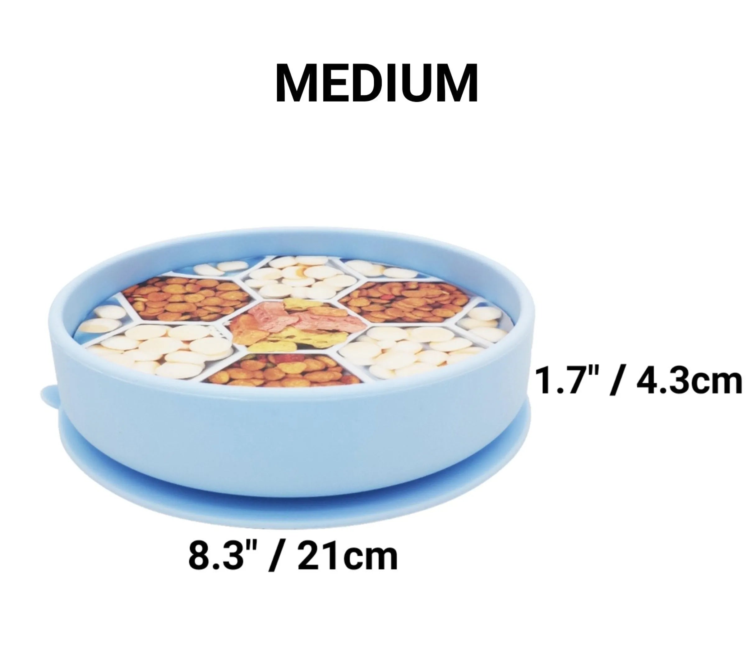 Blue container with food compartments and measurements on a white background