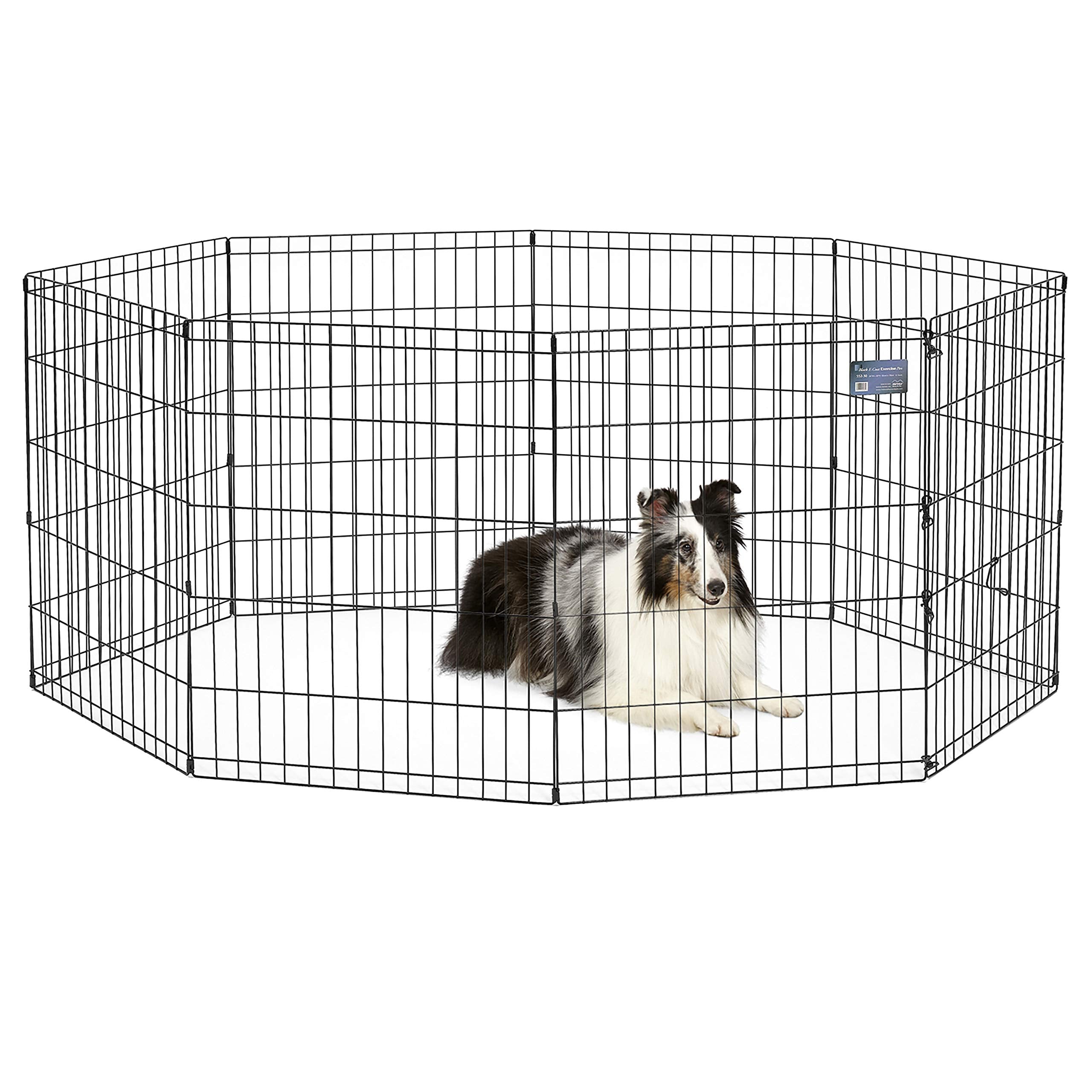 Dog inside a wire playpen on a white background