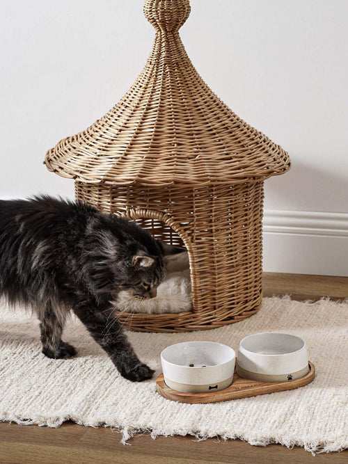 LE TAUCI PET Dog and Cat Bowl Set with Acacia Wood Tray - 2 Cup Ceramic Puppy Bowls for Cats &Small Dogs, Dual Food and Water Bowls with Weighted Non-Slip Base