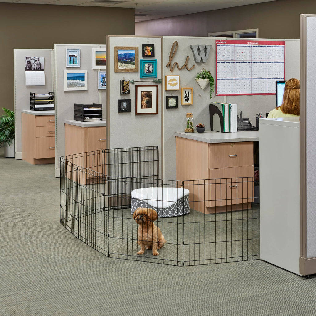 MidWest Homes for Pets 30-Inch Exercise Pen, for Indoor and Outdoor use, 16 Sq Feet of Play, Folding Dog Pen, No Door Design for Maximum Security, Easy to Set Up, Foldable Dog Playpen
