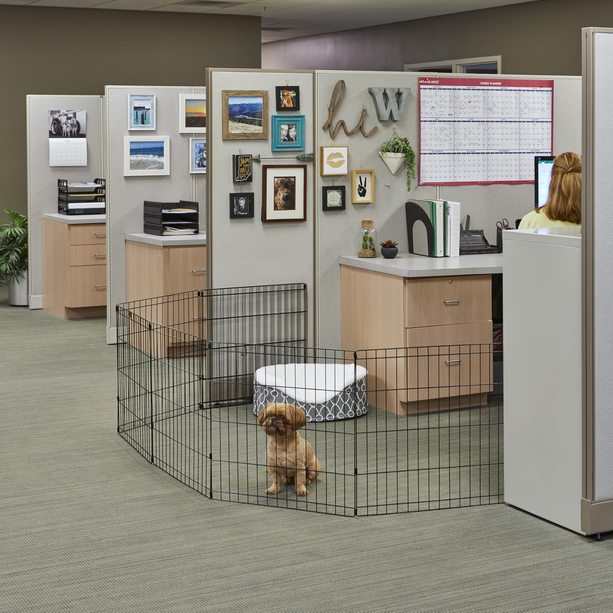 MidWest Homes for Pets 30-Inch Exercise Pen, for Indoor and Outdoor use, 16 Sq Feet of Play, Folding Dog Pen, No Door Design for Maximum Security, Easy to Set Up, Foldable Dog Playpen