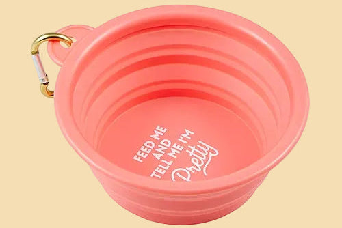 A coral pink collapsible silicone pet bowl with a gold carabiner clip on the side and white printed text inside reading 'FEED ME AND TELL ME I'M Pretty'.