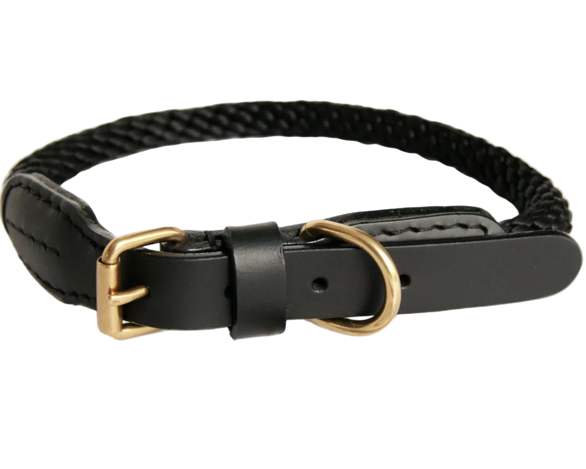 Black braided dog collar with gold buckle on a white background