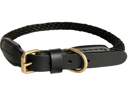 Black braided dog collar with gold buckle on a white background