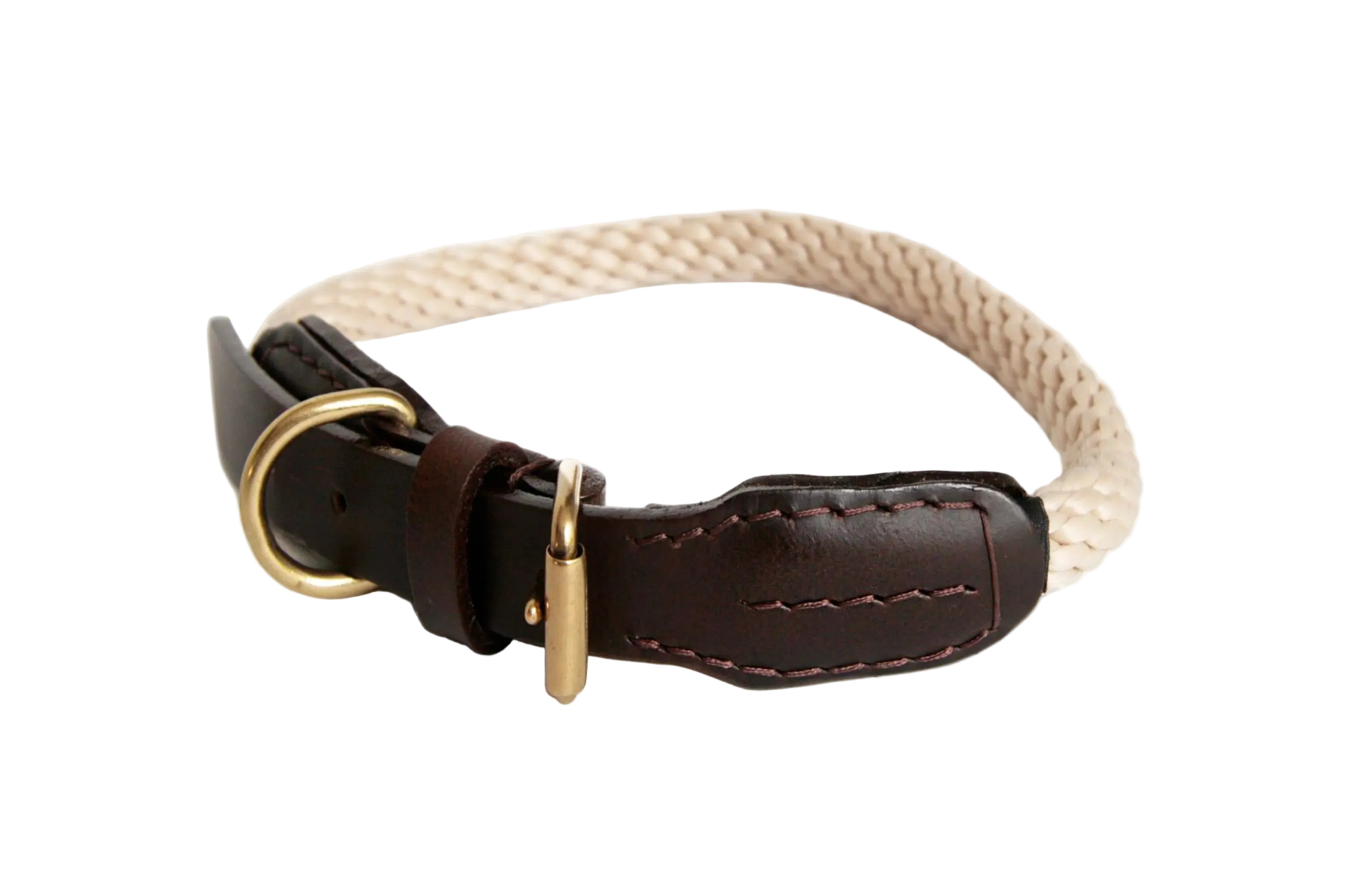Dog collar with brown leather strap and gold buckle on a white background