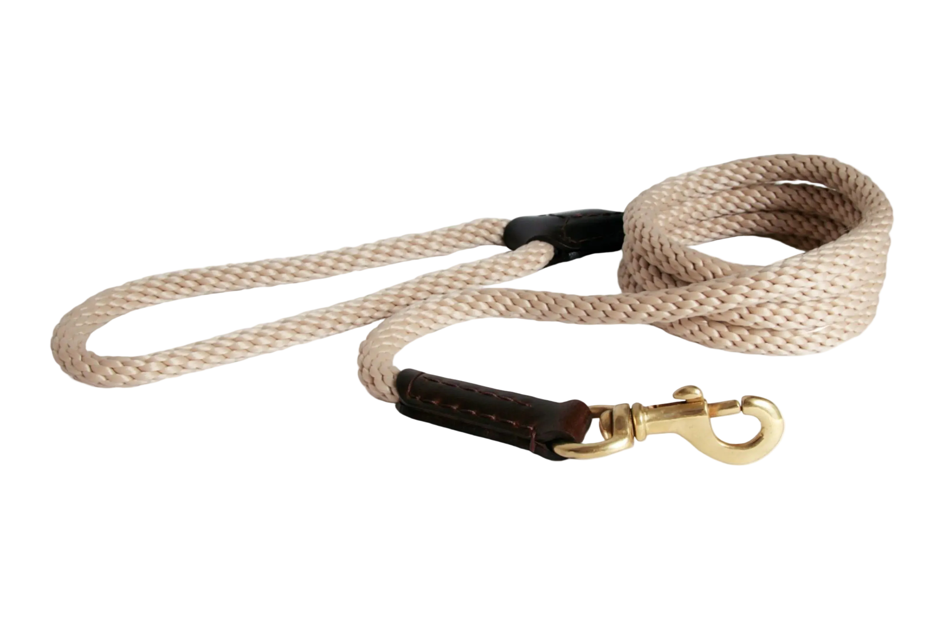 Dog leash with braided design and leather handle on a white background