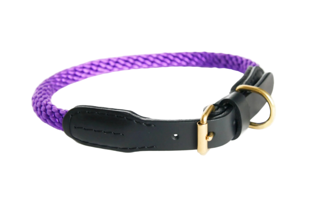 Dog collar with purple rope and black leather strap on a white background
