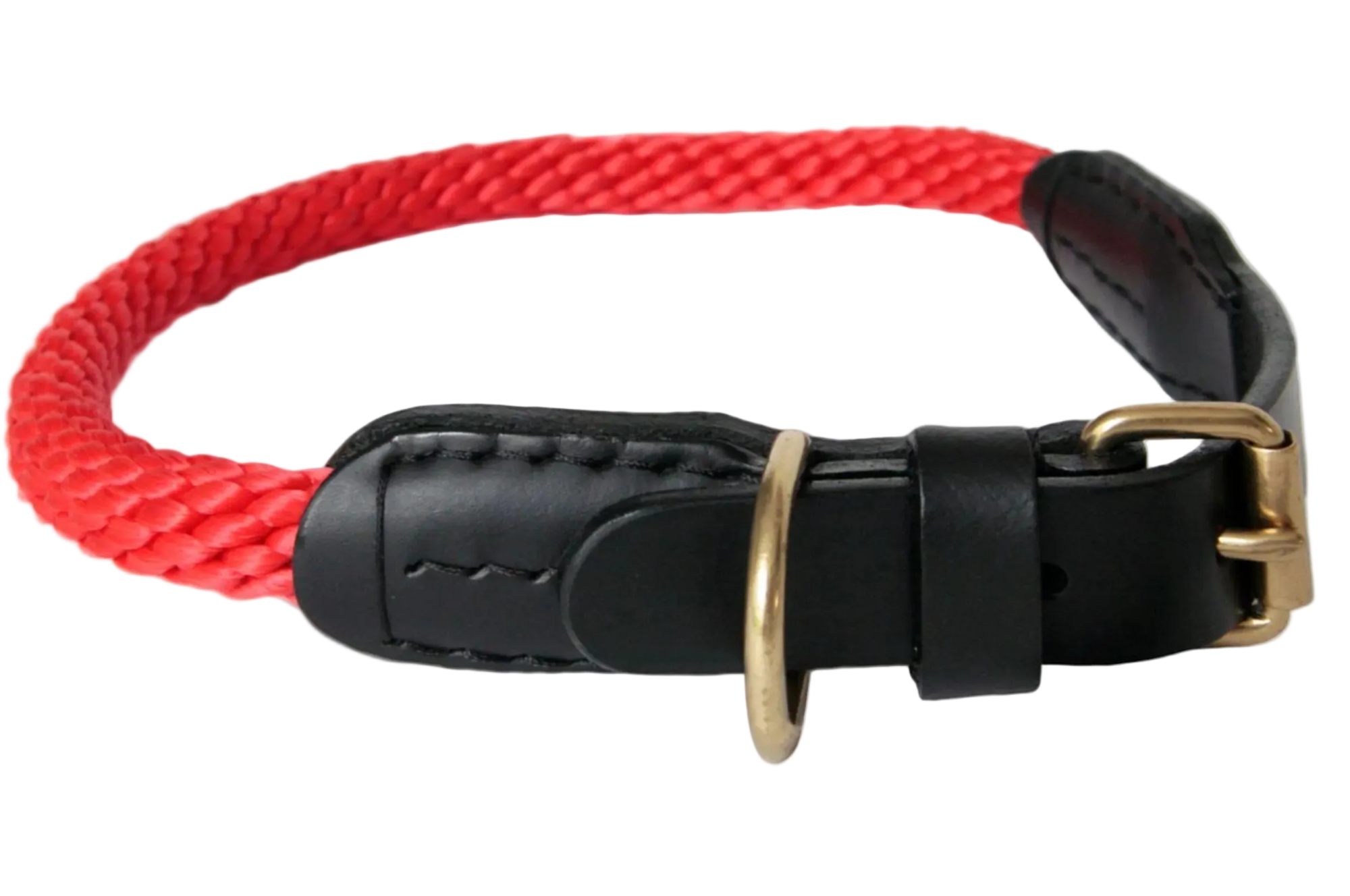 Red braided dog collar with black leather padding and gold buckle on a white background