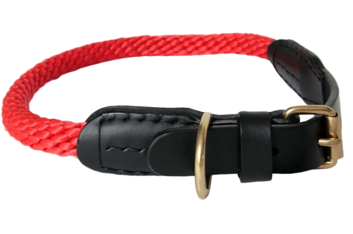 Red braided dog collar with black leather padding and gold buckle on a white background