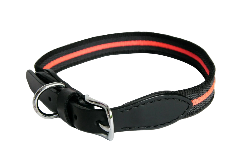 Black dog collar with red stripes on a white background