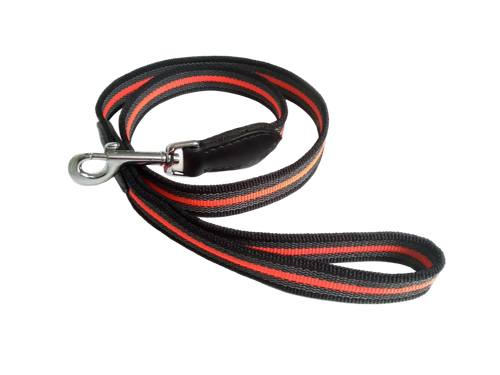 Black and red striped dog leash on a white background