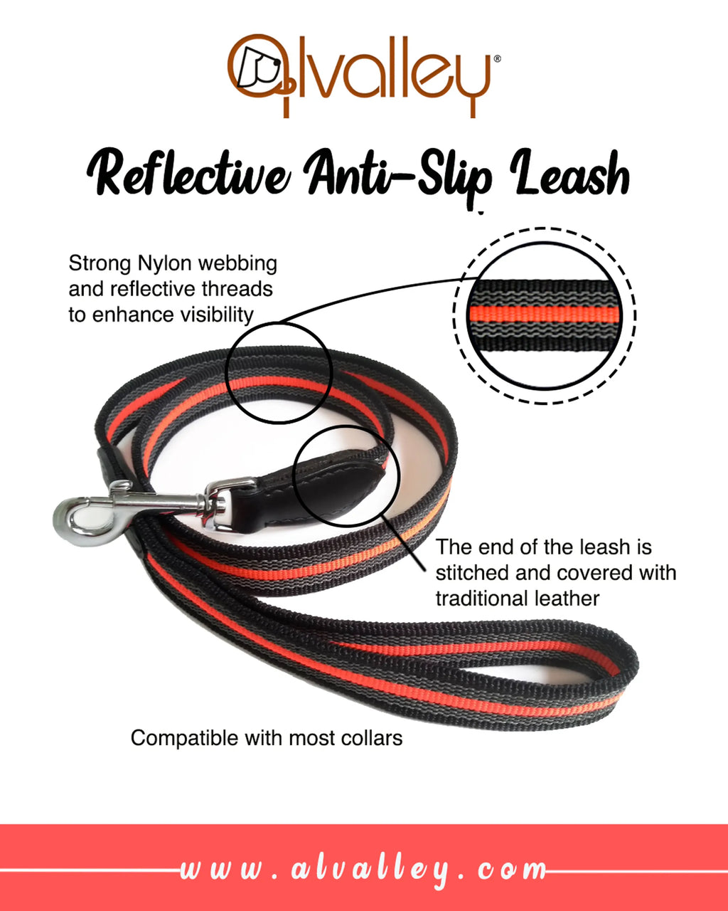 Reflective anti-slip leash with text highlighting features on a white background