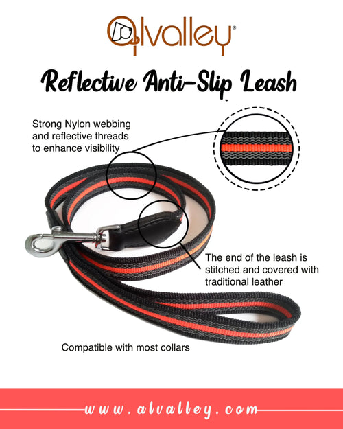 Reflective anti-slip leash with text highlighting features on a white background