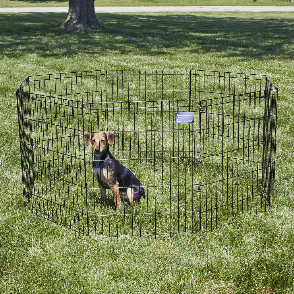 MidWest Homes for Pets 30-Inch Exercise Pen, for Indoor and Outdoor use, 16 Sq Feet of Play, Folding Dog Pen, No Door Design for Maximum Security, Easy to Set Up, Foldable Dog Playpen