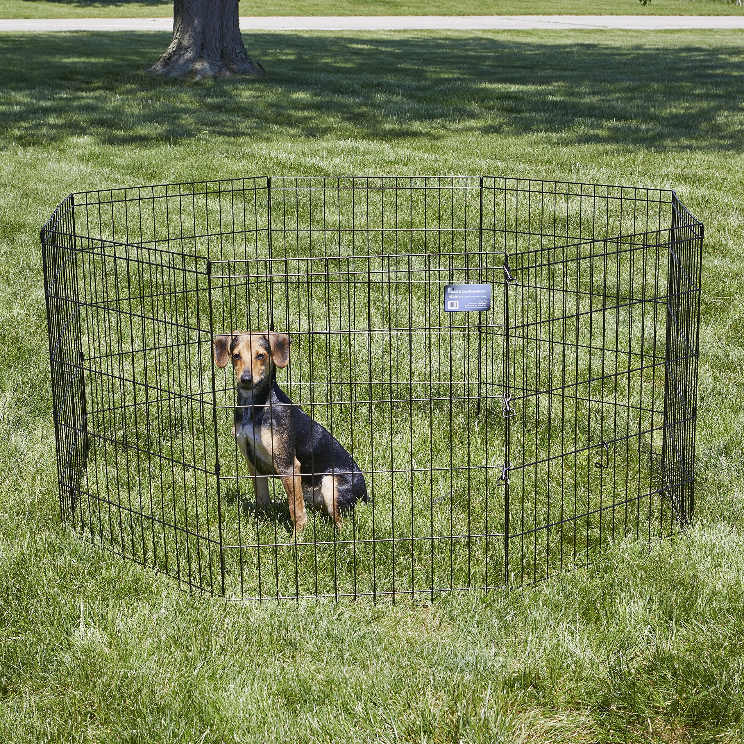 MidWest Homes for Pets 30-Inch Exercise Pen, for Indoor and Outdoor use, 16 Sq Feet of Play, Folding Dog Pen, No Door Design for Maximum Security, Easy to Set Up, Foldable Dog Playpen