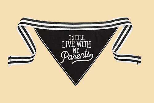 Black pet bandana with white text and striped straps on a white background