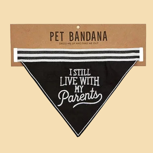 Black pet bandana with 'I Still Live with My Parents' text on a cardboard backing.