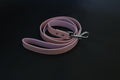 Luxury Textured Leather Leash